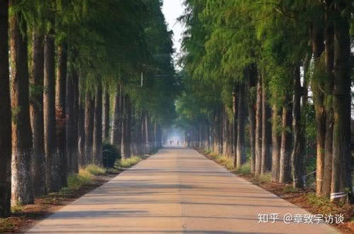 如何解决黑网支付端口维护 突发事件对策（图）