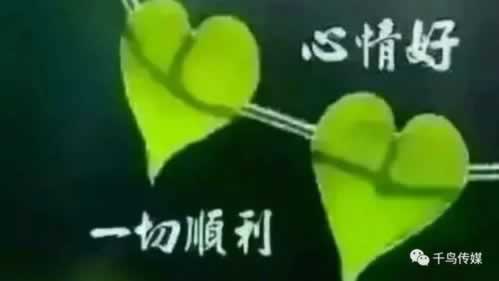 遇到黑网拒绝提现说财务清算中.文章概览（图）