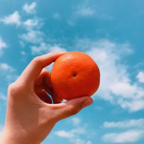 网上出黑卡分网上第三方提不出来.文章导言（图）
