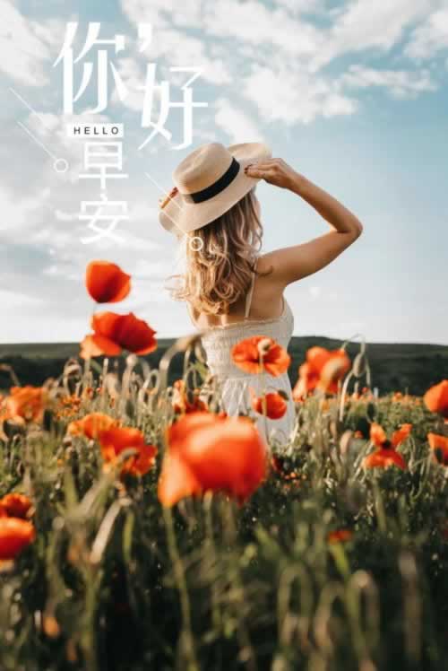 碰到黑网出款通道维护升级中.文章导言（图）