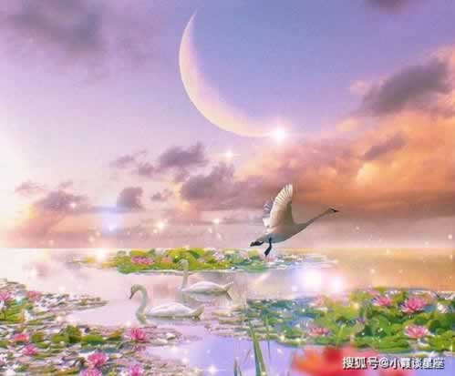 网络上说账户异常提现失败.内容慨述（图）