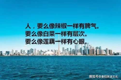 网上被黑未通过打码审核不给出款怎么解决.提要（图）