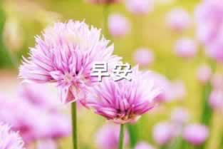 网络上出款通道维护.文章创作谈（图）