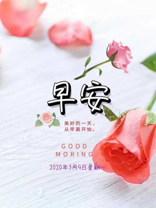 被黑了维护审核怎么办要怎么解决（图）