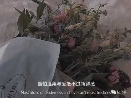 被黑能怎么办钱怎么办 增长策略（图）
