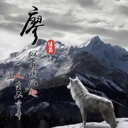 碰到黑网提取失败通道维护 最新指南（图）
