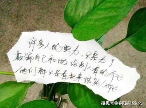 有关出款维护最长多久_真实内幕真相