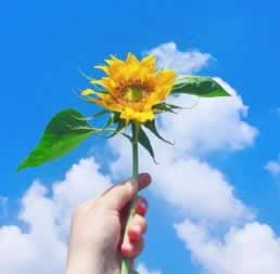 在网上提示未回传不能出款.编者心得（图）