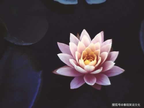 碰到被黑风控审核不给提款有什么方法出款吗 平台新策（图）