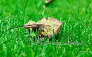 在平台上取款通道维护后终于取款了.引文（图）