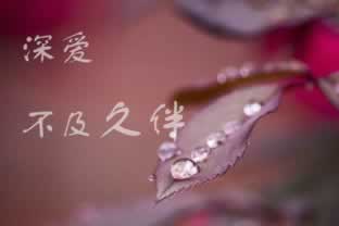 碰到注但异常中提现失败.内容概略（图）