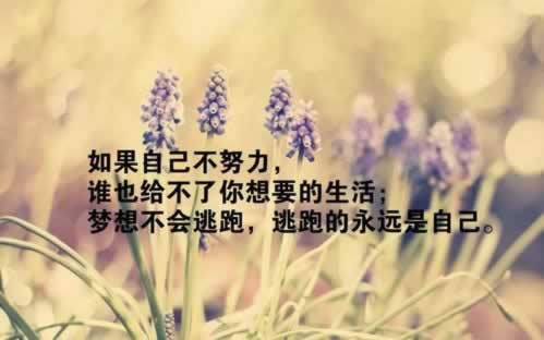 在网上平台提不了款怎么解 动态资料（图）