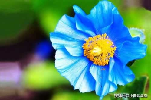 碰到客服说财务清算提现失败……这种问题解决办法，效率很高。