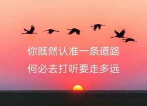 在黑平台第三方未支付提不了款.内容狮评（图）