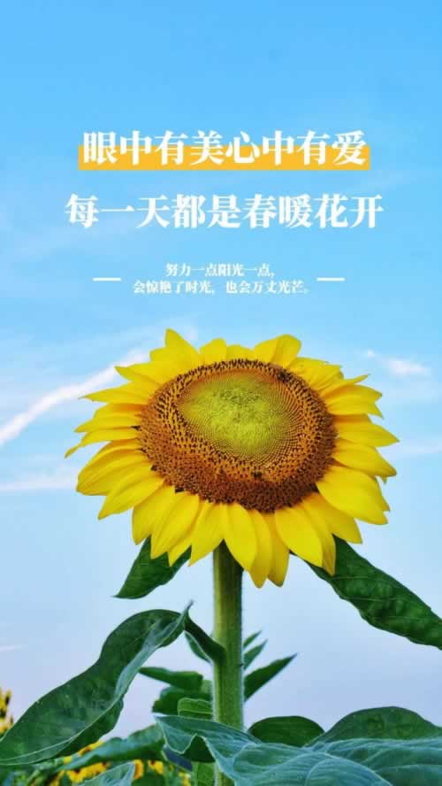 专业处理第三方未支付不给提款.侧重点（图）