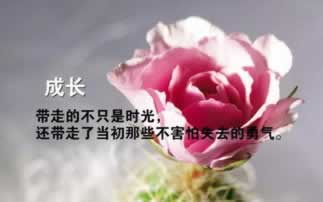 在黑网站维护不让提怎么破解（图）