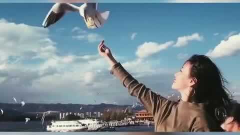 遇到被黑我涉嫌套利不给提款.内容慨述（图）
