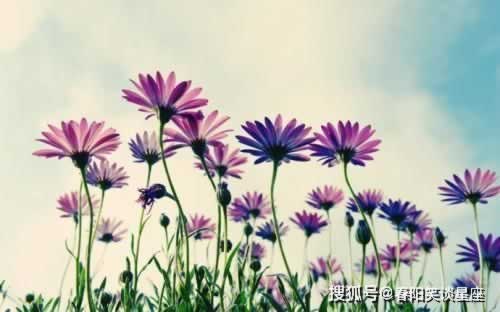 网络平台赢了不给提款客服总说系统维护审核.内容概要（图）