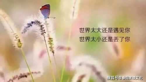 网上平台赢钱取款通道维护升级解决方法要如何解决（图）