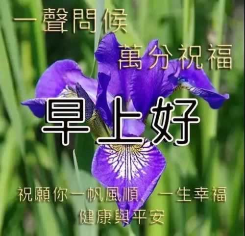 在黑网账户违规下注.文章引题（图）