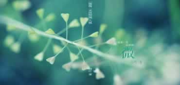 遇到平台提现失败财务结算审核数据异常教你怎么解决（图）