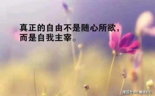 网络平台出款通道维护不给提款 终极解决（图）