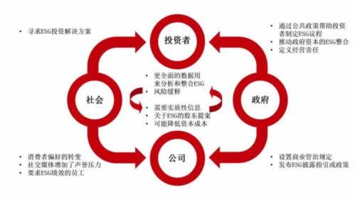 受国际网络波动影响.内容狮评（图）