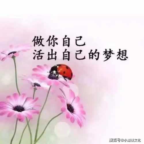 平台突然不能提现说国际线路波动.小序（图）