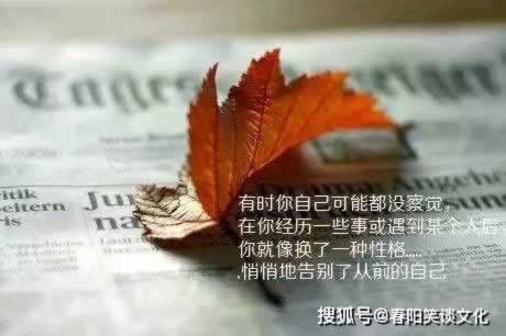 王头被坑3天不到账.内容核心（图）