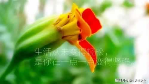网络上被黑出款提示系统维护审核财务清算不能提现不给提款 优化方案（图）