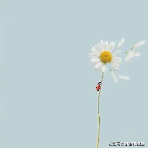在365多次提现被拒说财务清算繁忙.内容导语（图）