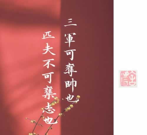 遇到平台被黑出黑大师的联系方式 解决办法（图）