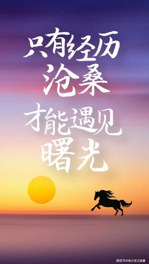 碰到黑网提取失败通道维护怎么做（图）
