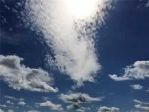 网上营前藏分出的成功率.引文（图）