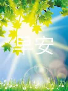 网络平台取款账户存在异常提现失败.引文（图）