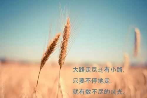 网上赢钱提现失败风控部门审核 市场策略（图）