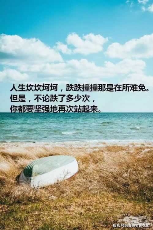 正规出黑工作室.文章导言（图）