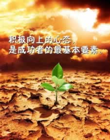 碰到提款审核不通过不给出之前正常的平台 精准应对（图）