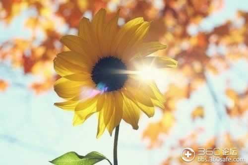 在平台出款通道维护系统风控审核被黑.内容慨述（图）