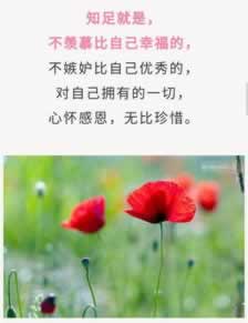 财务审核不给出款.内容开头语（图）