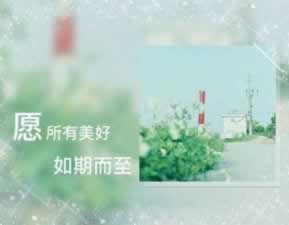 网上平台系统维护一对一解决 分级应对（图）