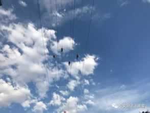 赢了被黑不给提款 核心破解（图）