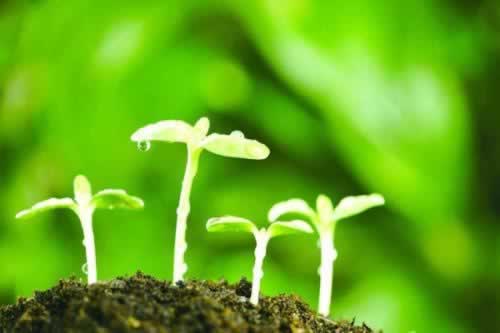 遇到显示通道升级维护.概述（图）