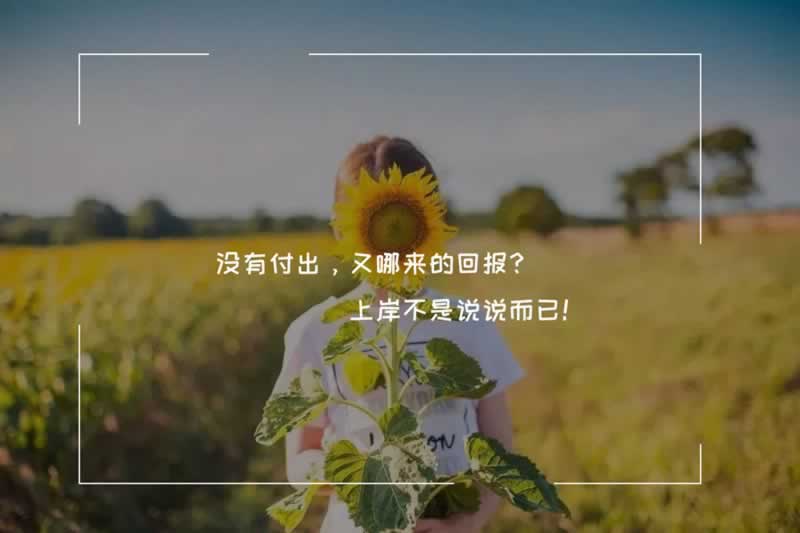 碰到黑网出款失败被退回 系统方案（图）