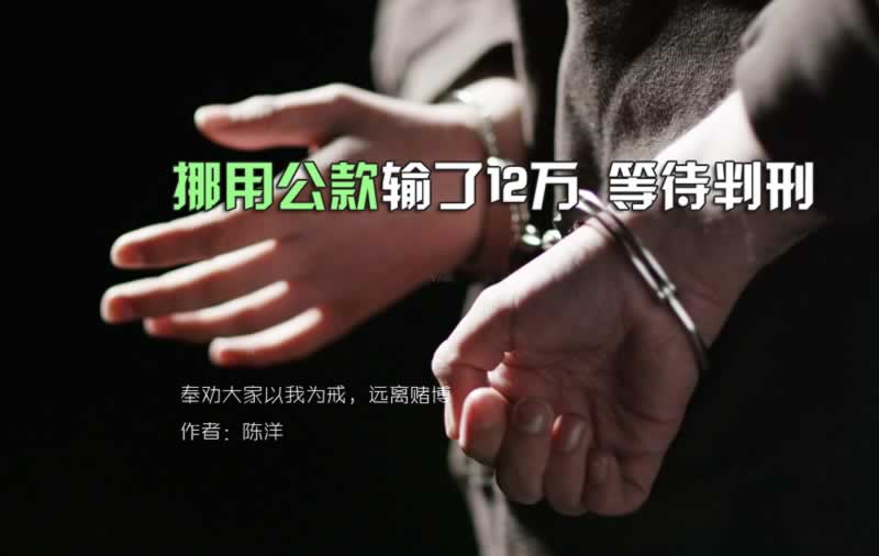 黑平台出现提示风控审核不通过.编者心得（图）