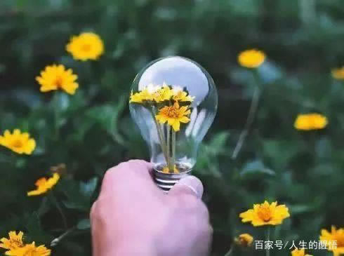 网上平台赢钱取款通道一直维护升级.小编心得（图）