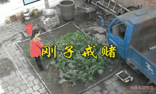 玩平台检测不让提 顶层思路（图）